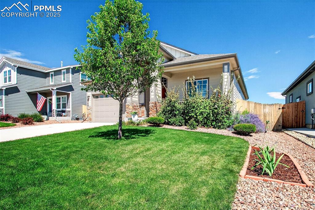 8746 Bittercress Drive Colorado Springs CO 80925