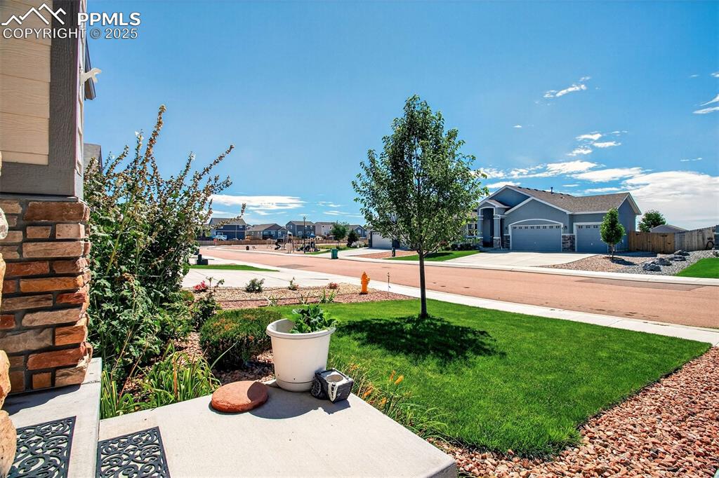 8746 Bittercress Drive Colorado Springs CO 80925