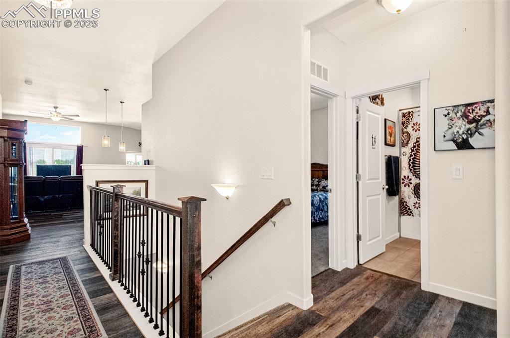 8746 Bittercress Drive Colorado Springs CO 80925