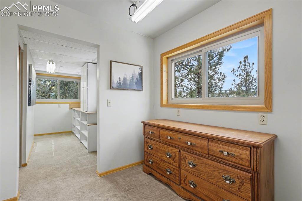 76 Pine Drive Woodland Park CO 80863