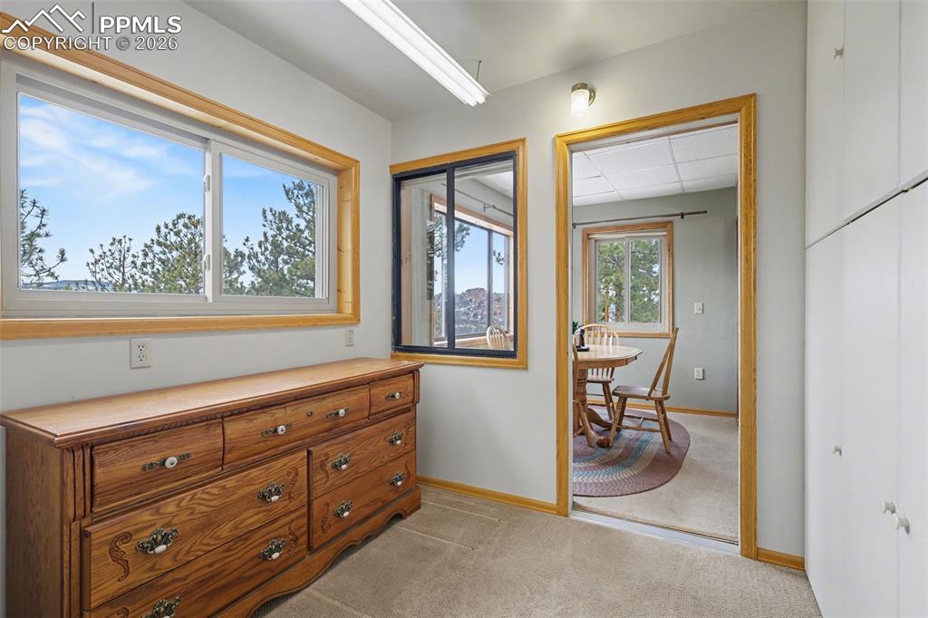 76 Pine Drive Woodland Park CO 80863