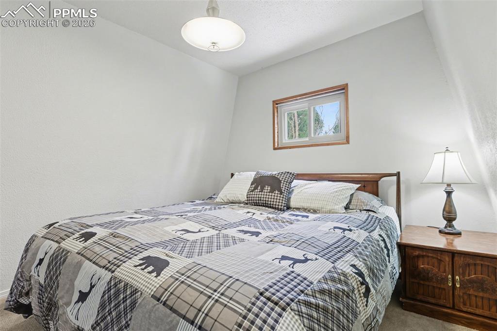 76 Pine Drive Woodland Park CO 80863