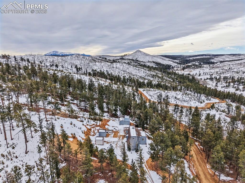 76 Pine Drive Woodland Park CO 80863