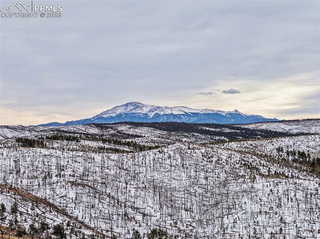 76 Pine Drive Woodland Park CO 80863