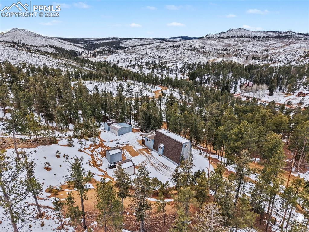 76 Pine Drive Woodland Park CO 80863