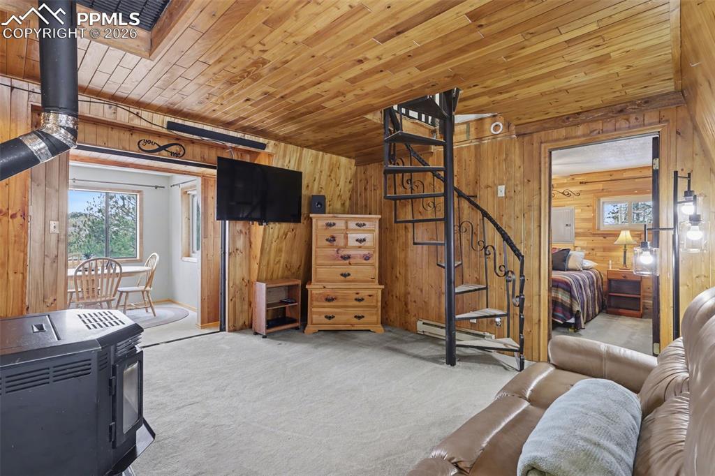 76 Pine Drive Woodland Park CO 80863