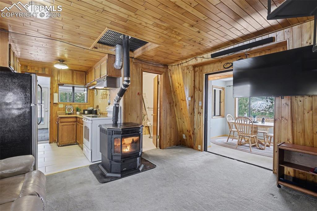 76 Pine Drive Woodland Park CO 80863