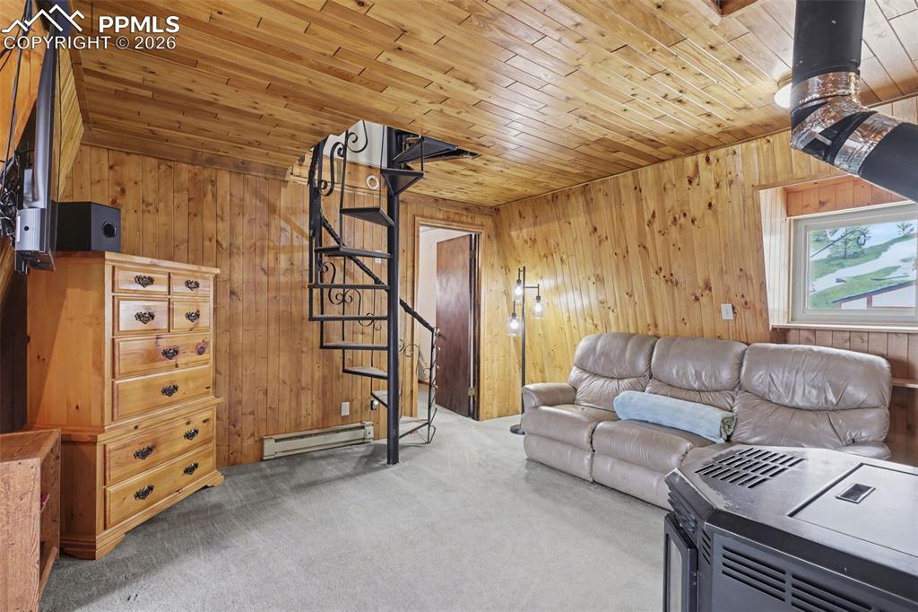 76 Pine Drive Woodland Park CO 80863