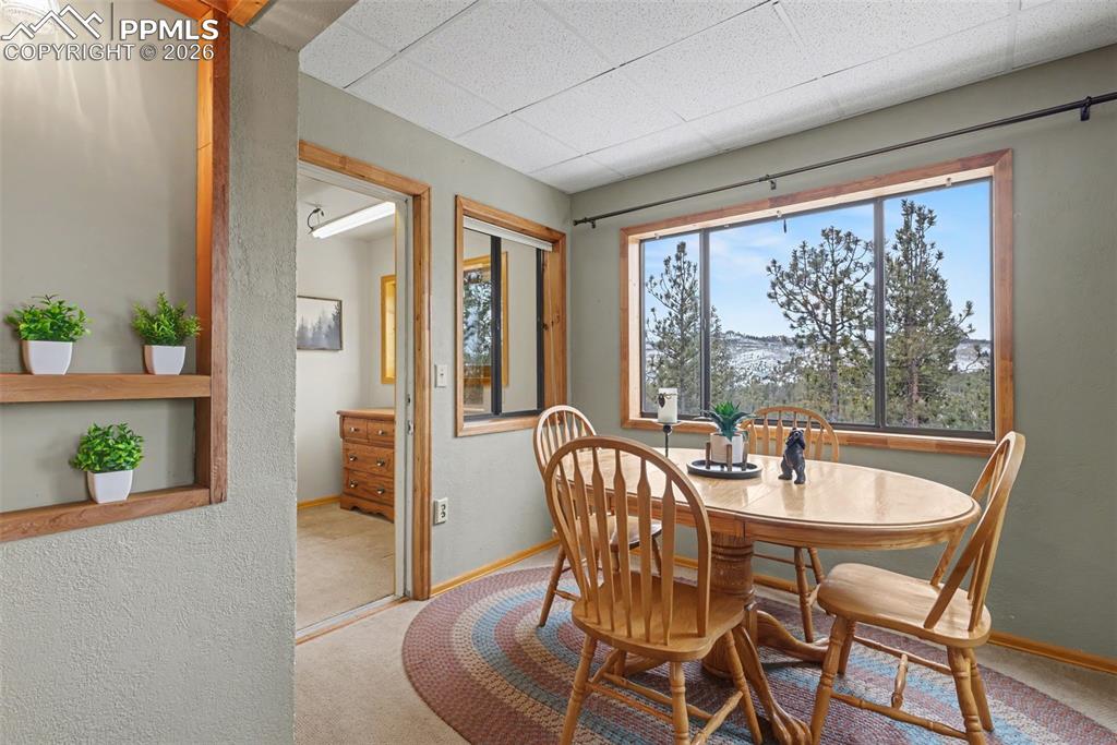 76 Pine Drive Woodland Park CO 80863