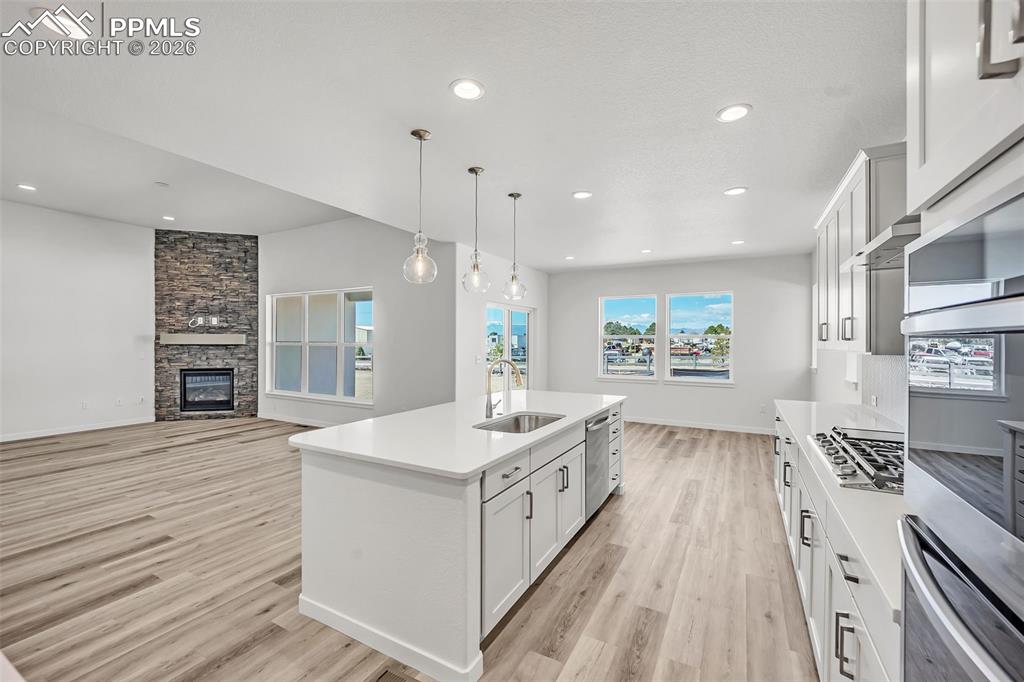 7892 Desert Wrangler Drive Colorado Springs CO 80908