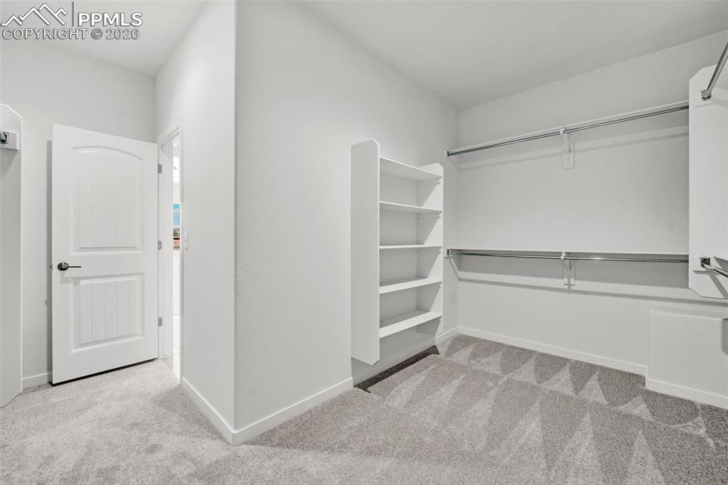 7892 Desert Wrangler Drive Colorado Springs CO 80908