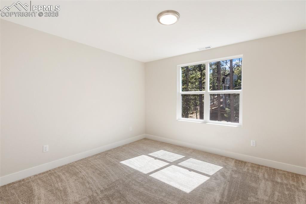 671 Bradford Drive Woodland Park CO 80863