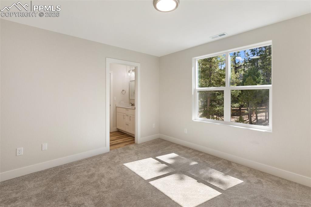 671 Bradford Drive Woodland Park CO 80863
