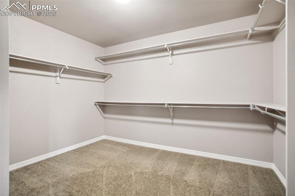 7118 Dutch Loop Colorado Springs CO 80925