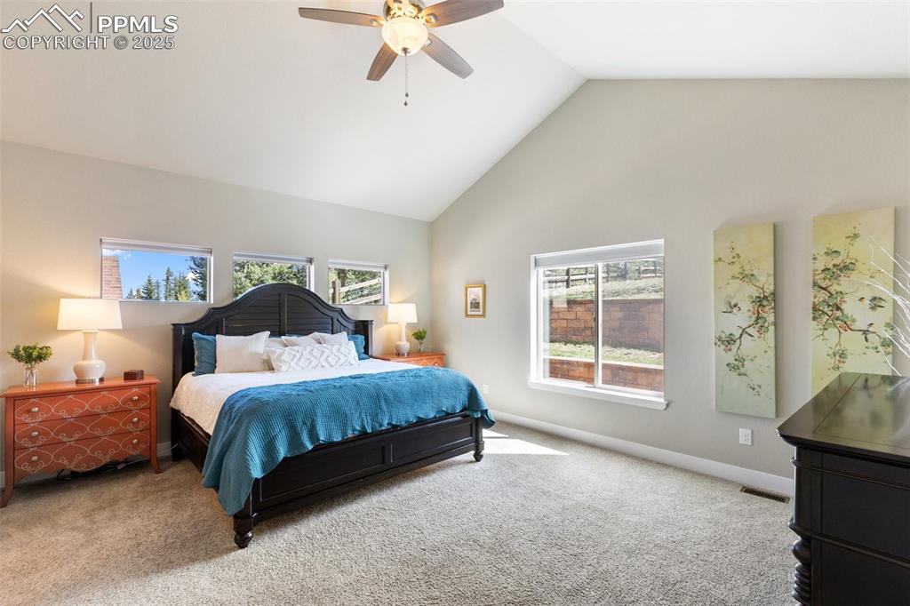 1145 Ptarmigan Drive Woodland Park CO 80863