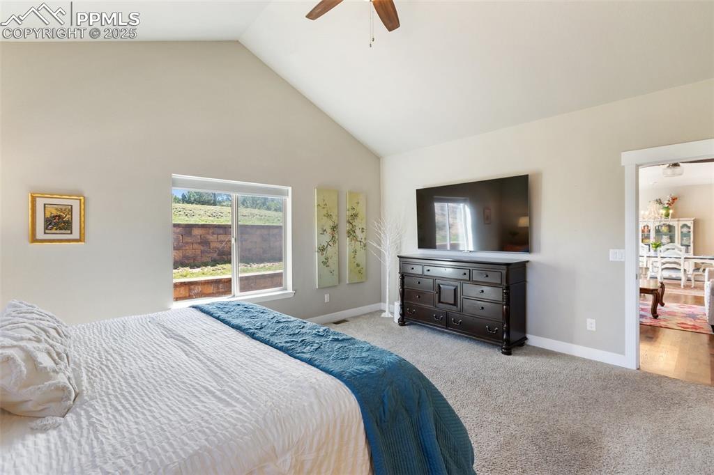 1145 Ptarmigan Drive Woodland Park CO 80863