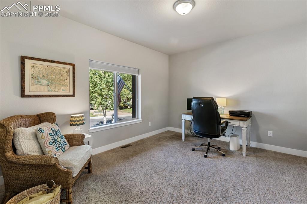 1145 Ptarmigan Drive Woodland Park CO 80863