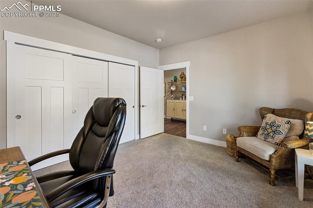 1145 Ptarmigan Drive Woodland Park CO 80863