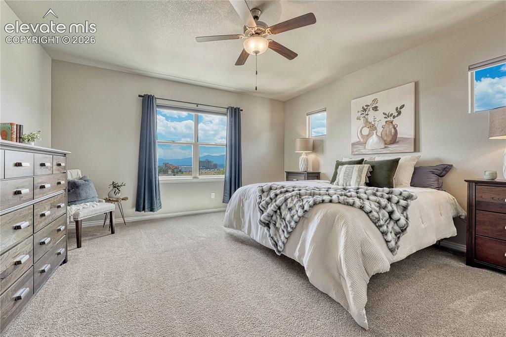 1123 Giacomo Court Colorado Springs CO 80921