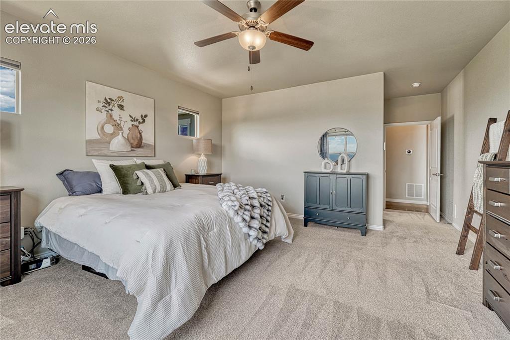 1123 Giacomo Court Colorado Springs CO 80921