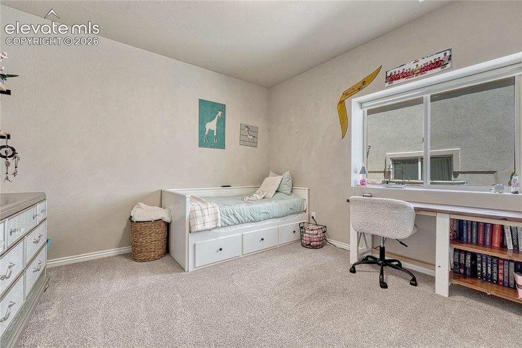 1123 Giacomo Court Colorado Springs CO 80921