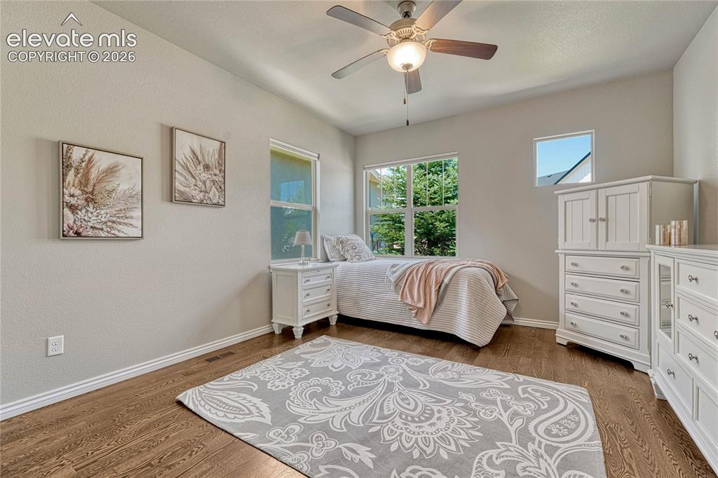 1123 Giacomo Court Colorado Springs CO 80921