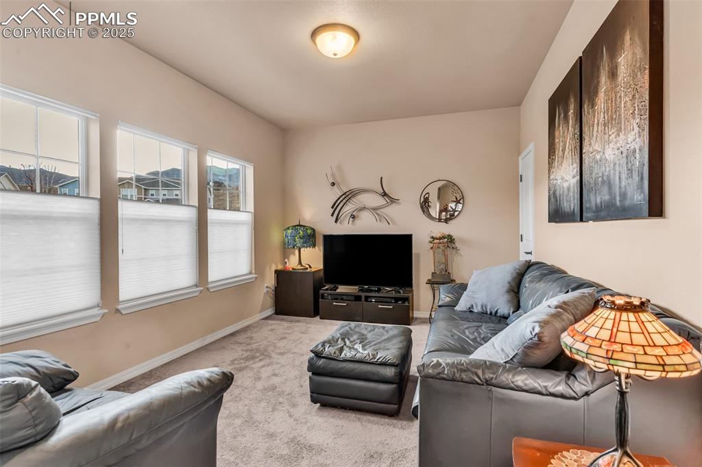 1634 Nellie Lane Colorado Springs CO 80905