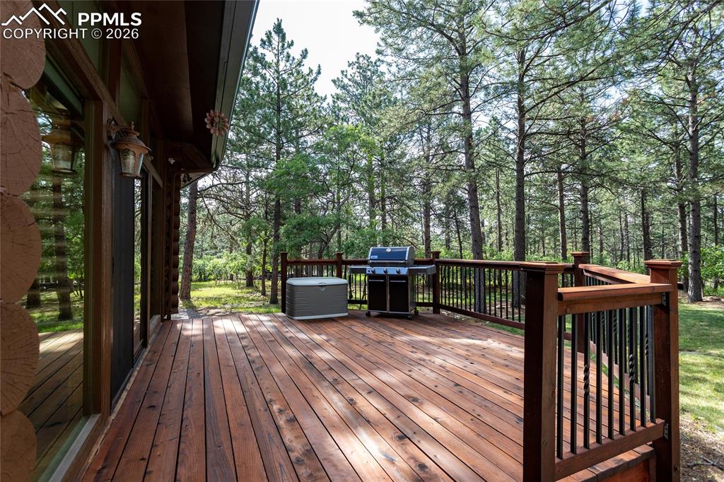 17220 Shiloh Pines Drive Monument CO 80132