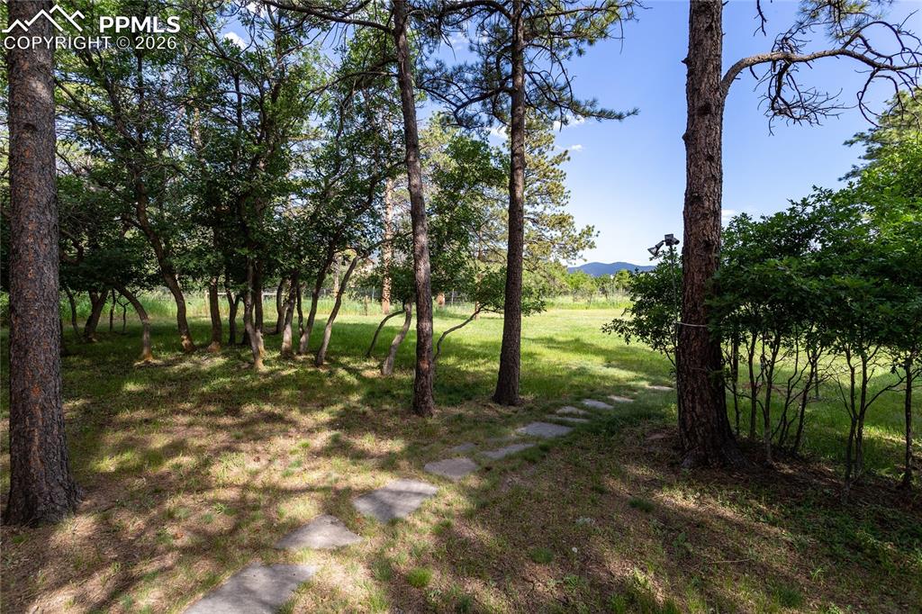 17220 Shiloh Pines Drive Monument CO 80132