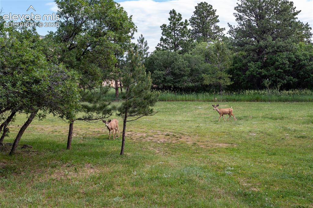 17220 Shiloh Pines Drive Monument CO 80132