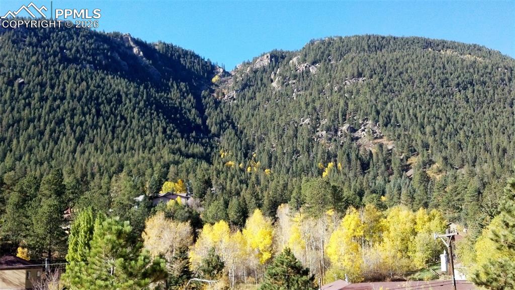 10316 El Paso Avenue Green Mountain Falls CO 80819