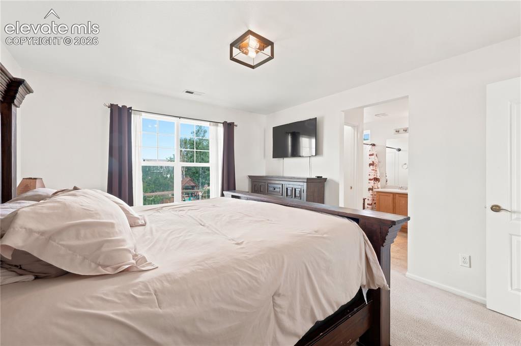 180 Ellendale Street Castle Rock CO 80104