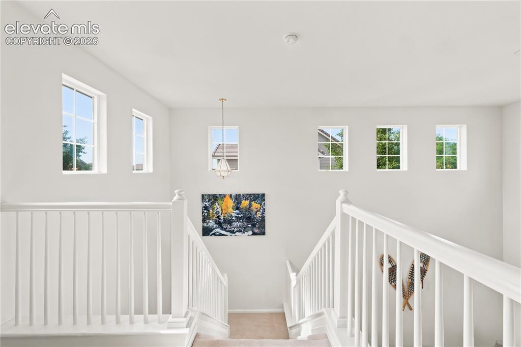 180 Ellendale Street Castle Rock CO 80104