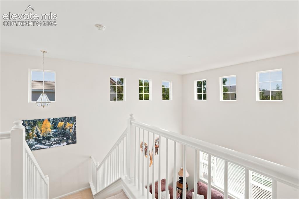 180 Ellendale Street Castle Rock CO 80104