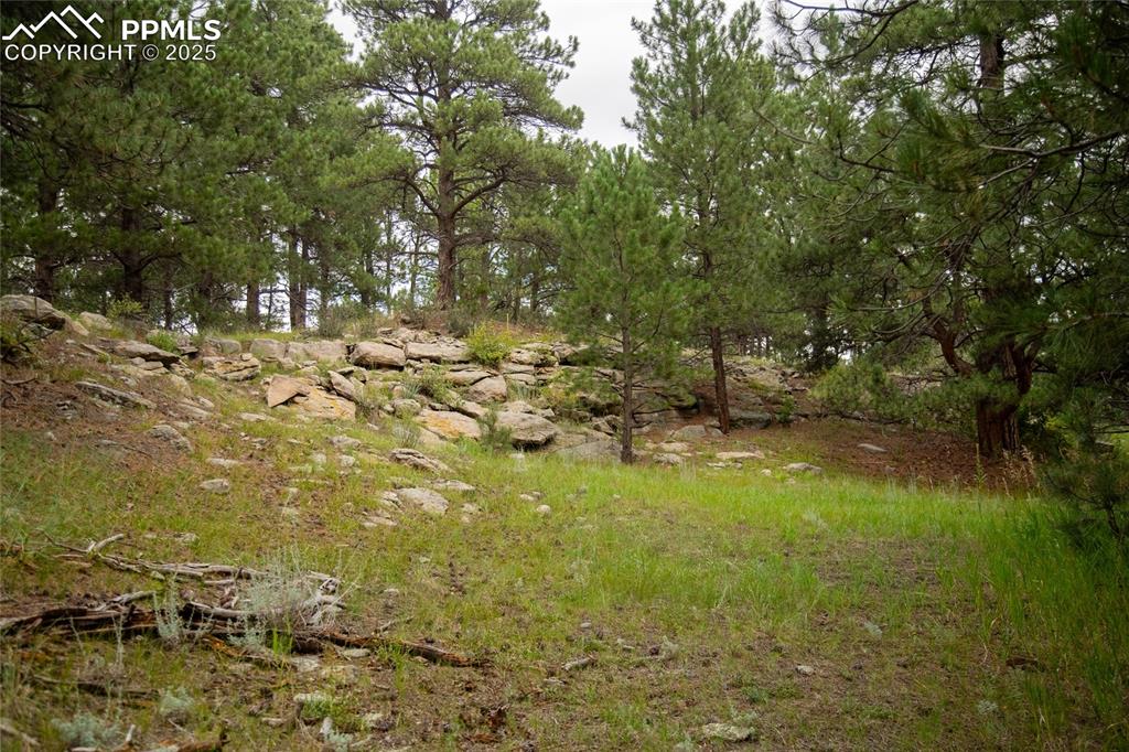 11503 E Smith Road Elbert CO 80106