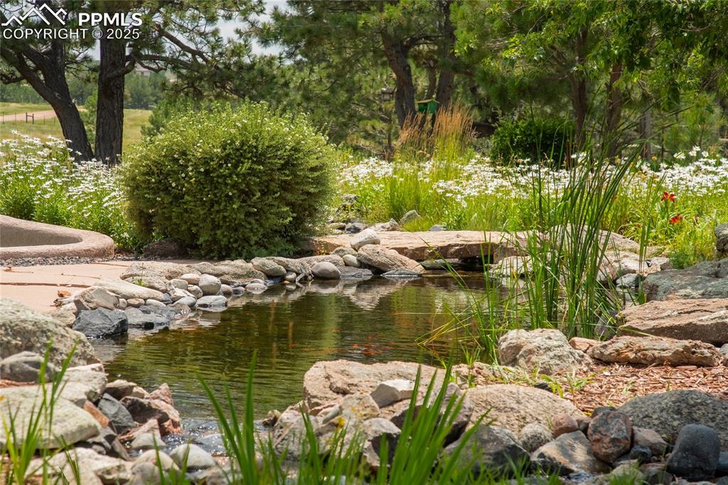 11503 E Smith Road Elbert CO 80106