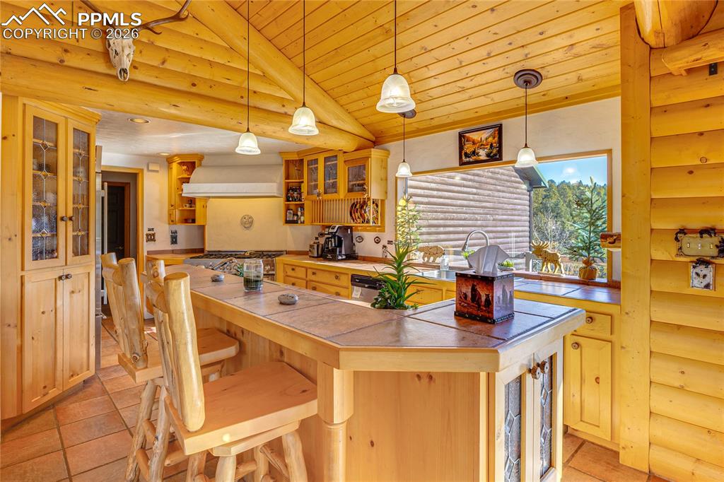 528 Mohawk Heights Florissant CO 80816
