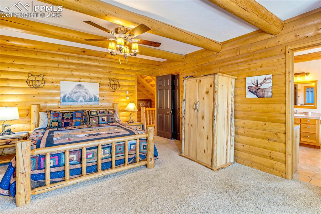 528 Mohawk Heights Florissant CO 80816