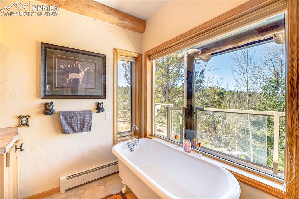 528 Mohawk Heights Florissant CO 80816