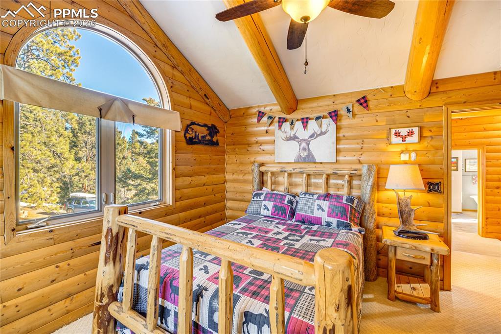 528 Mohawk Heights Florissant CO 80816