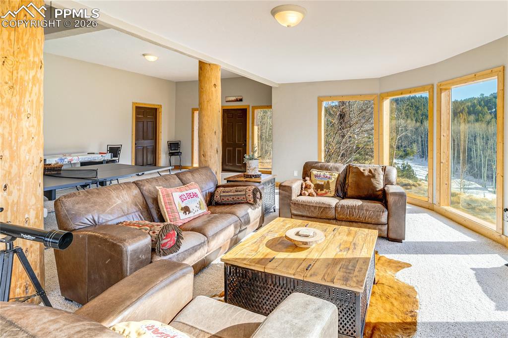 528 Mohawk Heights Florissant CO 80816
