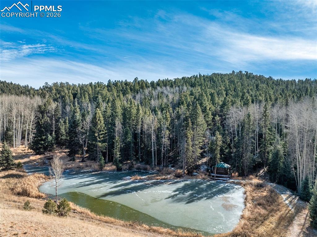 528 Mohawk Heights Florissant CO 80816