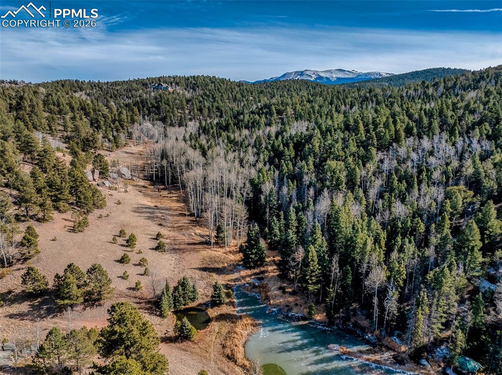 528 Mohawk Heights Florissant CO 80816