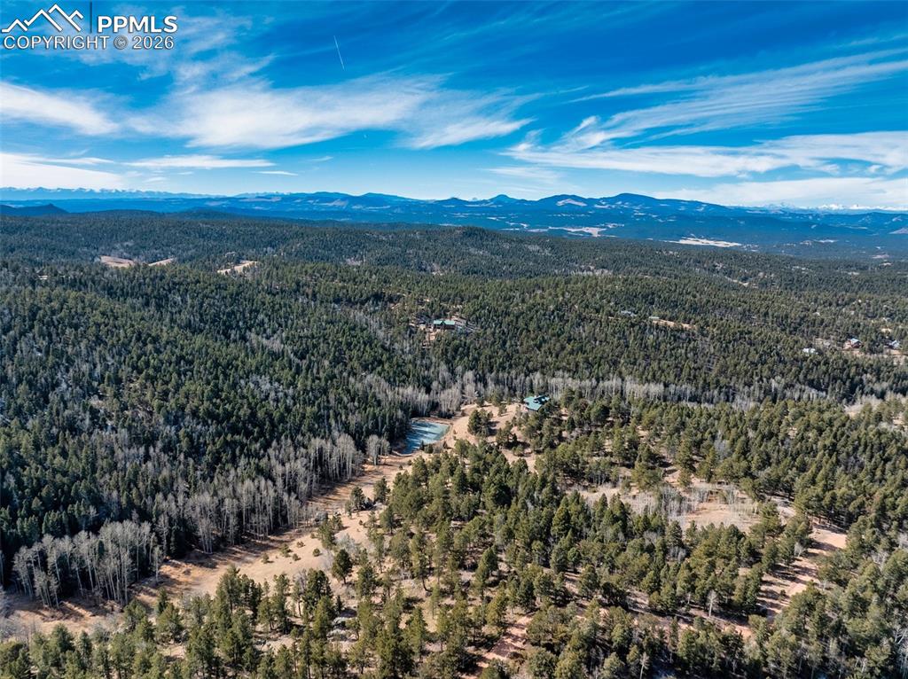 528 Mohawk Heights Florissant CO 80816