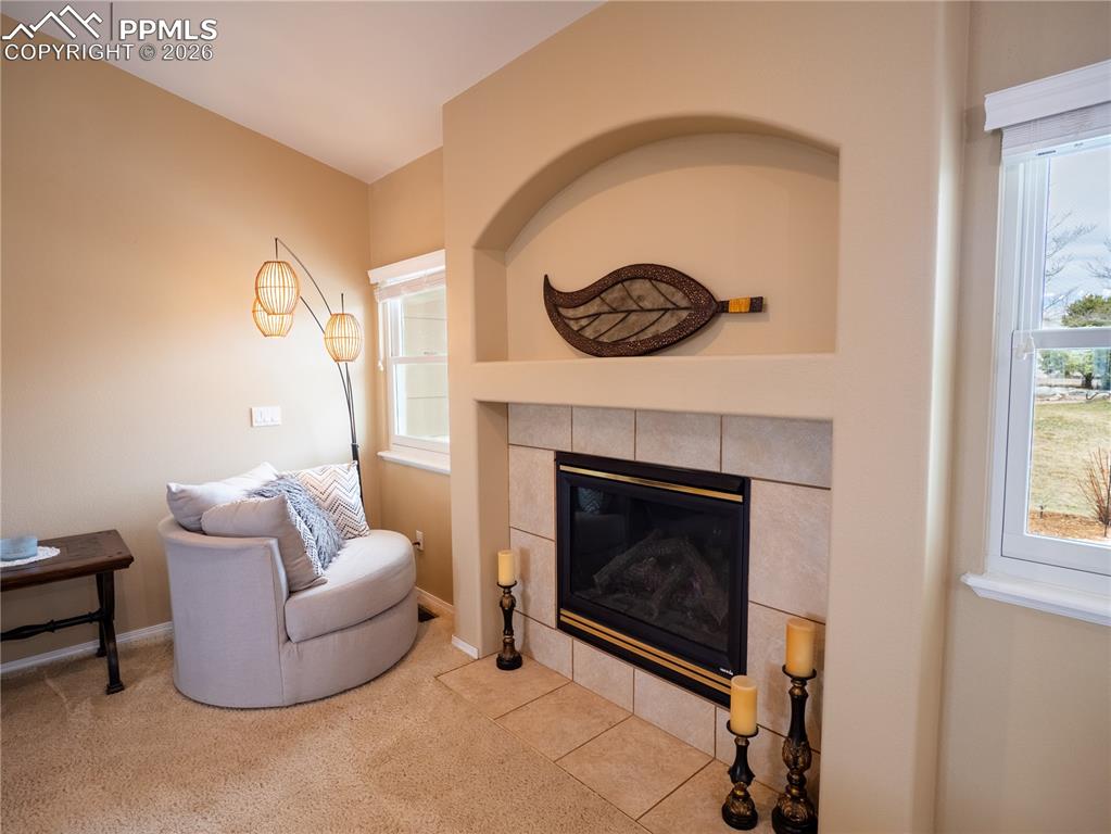 9204 Rockingham Drive Peyton CO 80831
