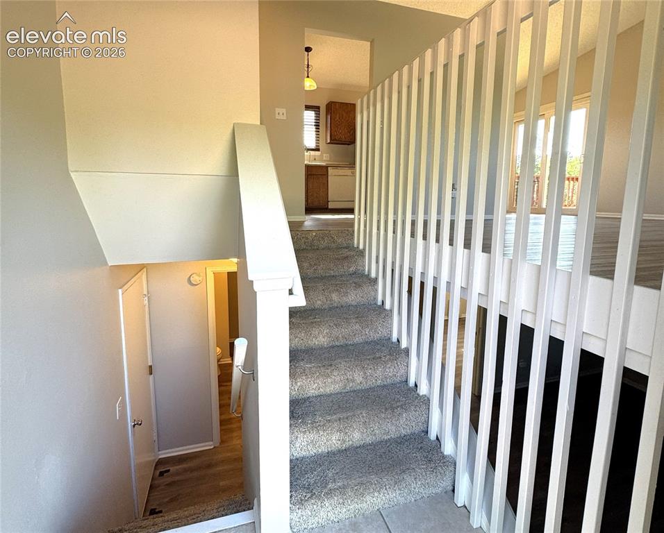 1056 Sundance Circle Woodland Park CO 80863
