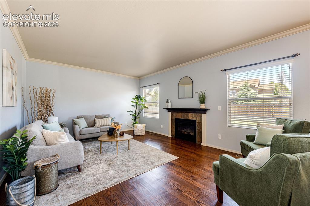 7664 Renegade Hill Drive Colorado Springs CO 80923