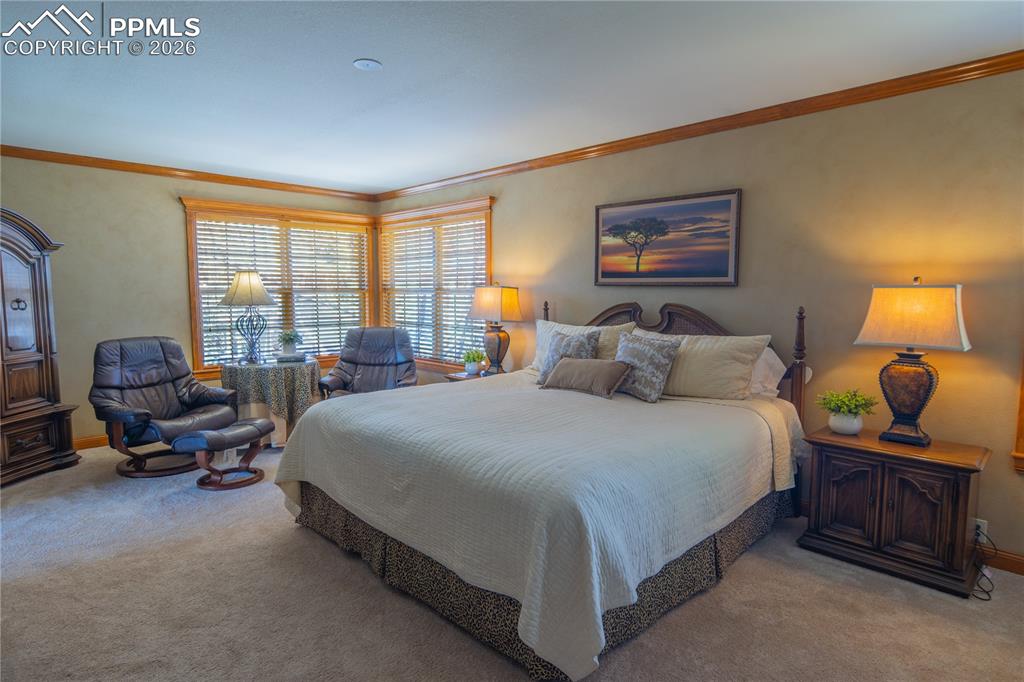 2310 Biltmore Court Colorado Springs CO 80907