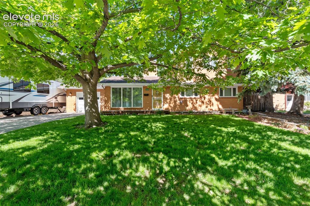 1529 Hollyhock Drive Colorado Springs CO 80907