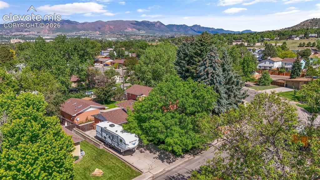 1529 Hollyhock Drive Colorado Springs CO 80907
